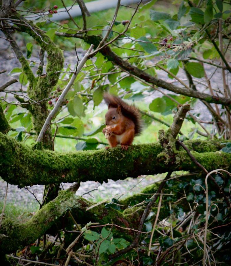 Cross Haw Cottage Sedbergh Esterno foto